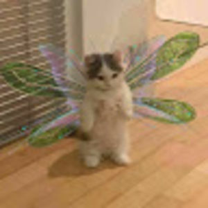 Meet your Posher, Natalie